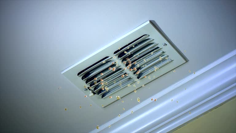 Best Home Air Vent Cleaning  in Erma, NJ
